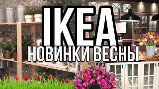 ИКЕА новинки весны 2020. Обзор новинок IKEA.