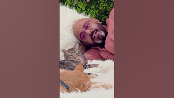 One cat behavior myth I used to believe was… #cats #catbehavior #myths