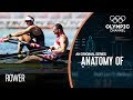 Anatomy of a Rower: Do they have the strongest legs of any Olympic athlete?