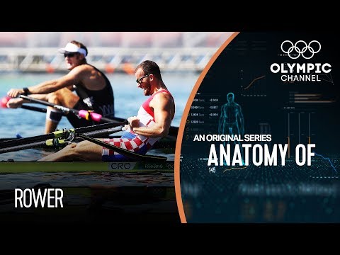 Anatomy of a Rower: Do they have the strongest legs of any Olympic athlete?