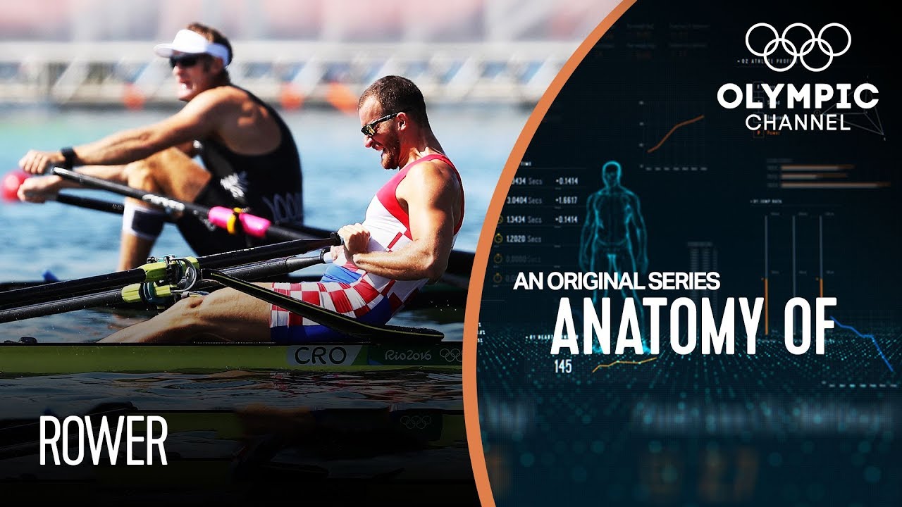 Anatomy Of A Rower: Do They Have The Strongest Legs Of Any Olympic Athlete?