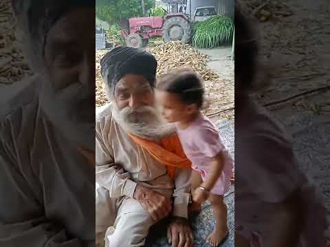 Sweet Kiss With Grandfather And Grany