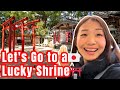 Happy White Day Hidden Lucky Shrine In Shinjuku Tokyo Live Walk Tokyolivestream