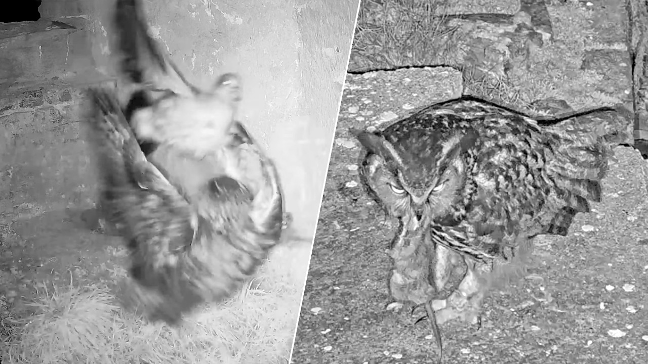 26.–27.02.2026: Angriffe im Stundentakt