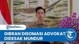 GIBRAN BAK TAK BOLEH TENANG! Kini Disomasi Advokat Perekat Nusantara, Diminta Mundur dari Wapres
