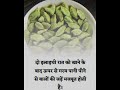 इलायची के फायदे #ayurvedic #youtubeshorts #ayurved #ayurvedictips #subscribe #explore #shortvideo