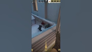 2 Very Quick Headshots in CS2!