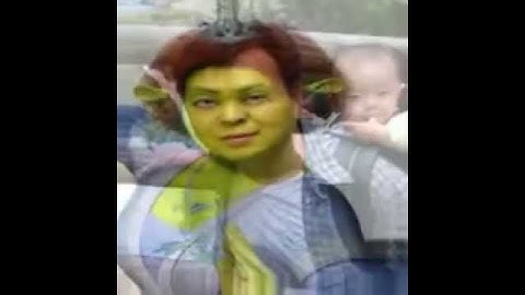 NTU VFX 2012 Assignment #1 Image Morphing 27