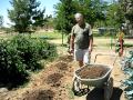 Green Garden TIPS: Enriching your soil Green Garden TIPS: Enriching your soil