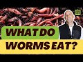 What do worms eat best and worst foods revealed