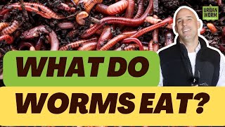 What Do Worms Eat? Best (and Worst) Foods Revealed