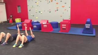 Module 5: phase 1: Function/animal movement