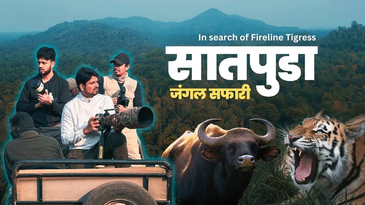 सातपुड्याच्या जंगलात त्या भल्या मोठ्या TIGER ची ENTRY😱 रान गव्याची केली शिकार | Ep.2