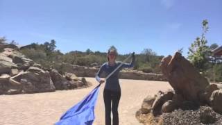 PHS Flag Basics - Part 2