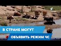 Засушливое лето: в стране могут объявить режим чс