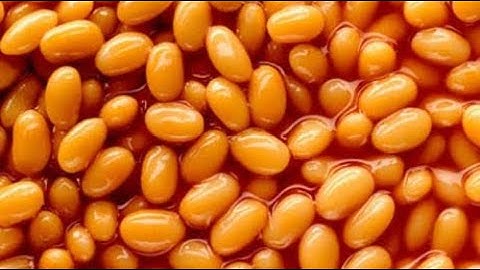 Every time DoshDoshington says Beans in Factorio Seablock