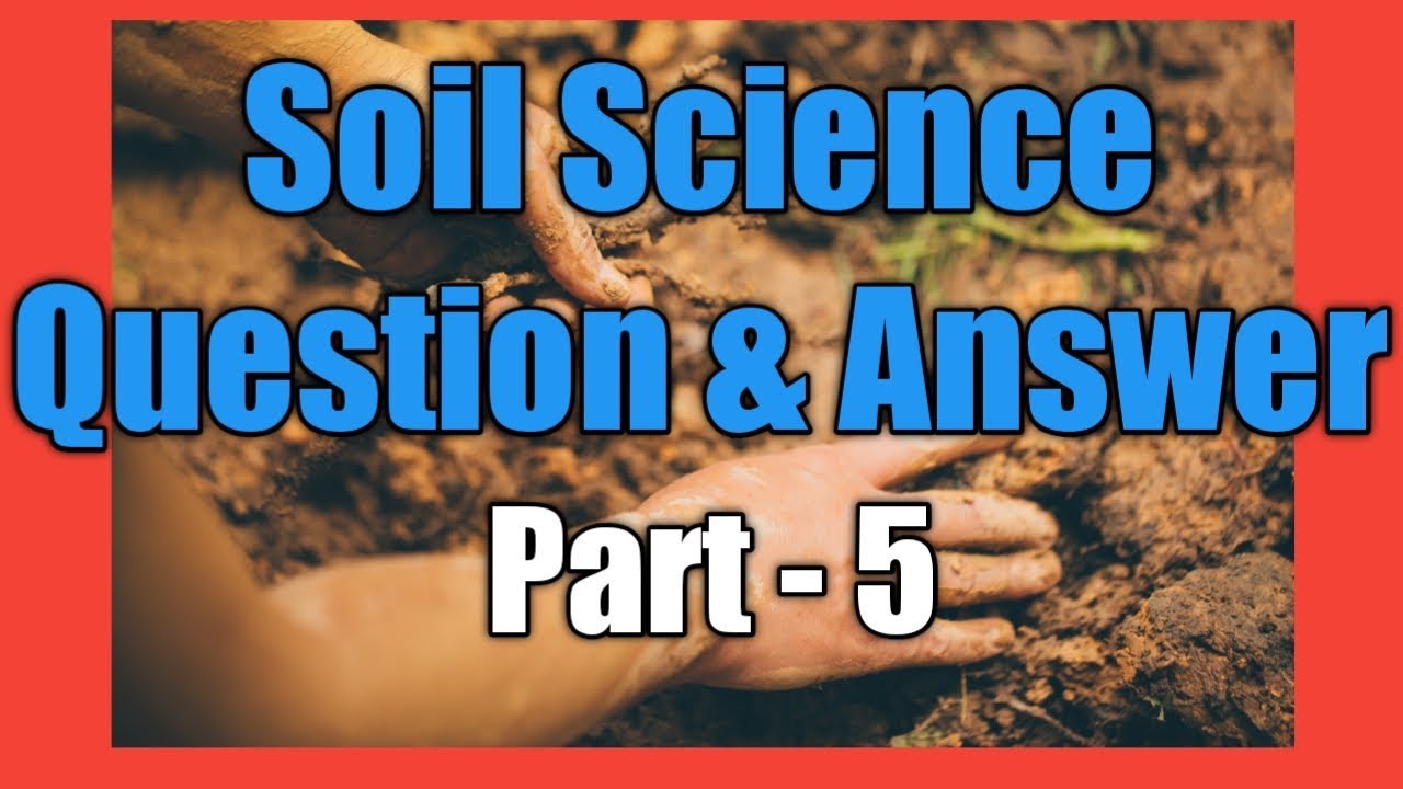 essay questions on soil science