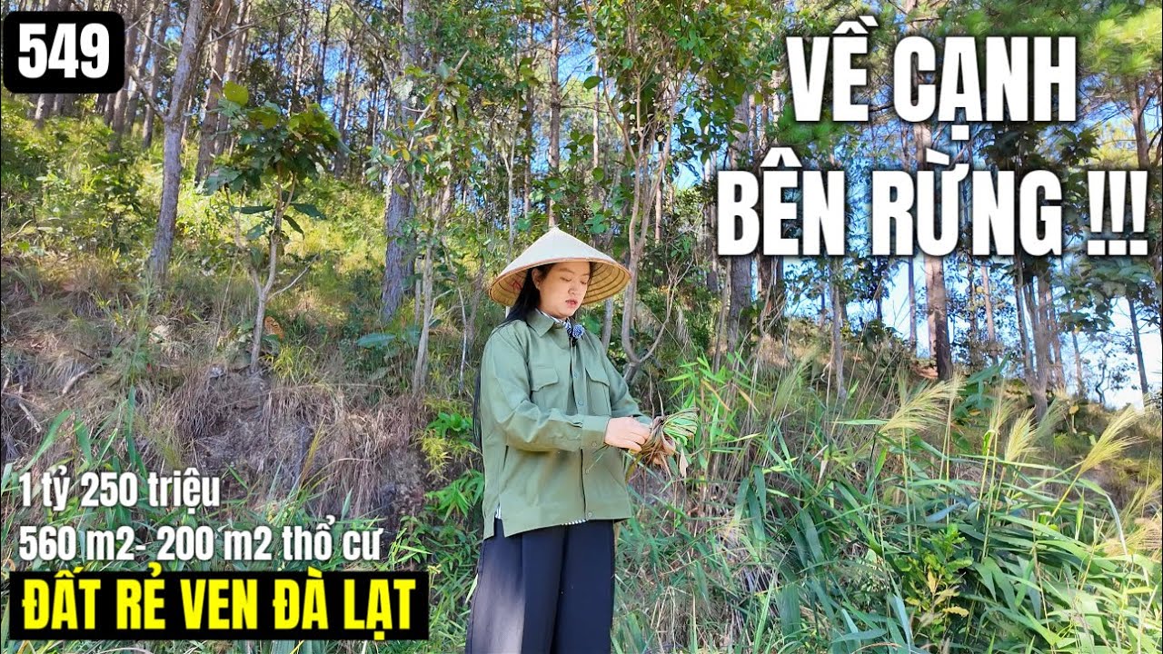 (Đã bán)Về cạnh bên rừng về thiên nhiên trong xanh 560 m2 200 m2 thổ cư 1 tỷ 250 triệu ven Đà Lạt