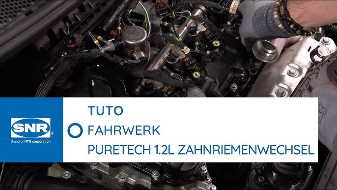 Motorschaden - Belt in Oil - Zahnriemen im Öl löst sich auf, PureTech  Citroen/ Peugot, Ecoboost Ford 