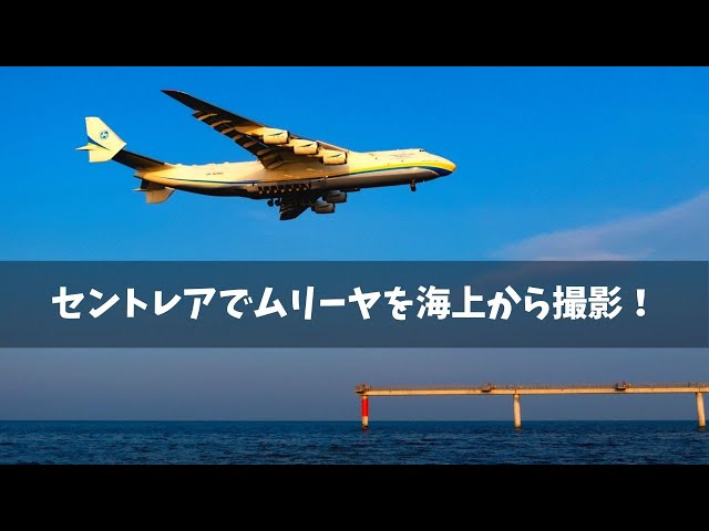 世界最大の飛行機】アントノフAn-225ムリーヤがセントレアに飛来！海上