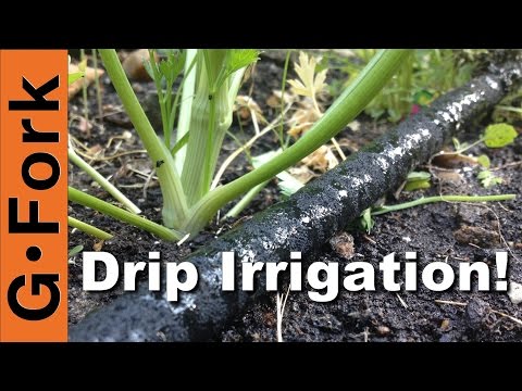 DIY