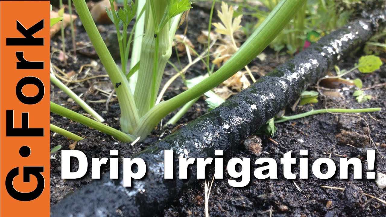 DIY Soaker Hose Drip Irrigation System - GardenFork - YouTube