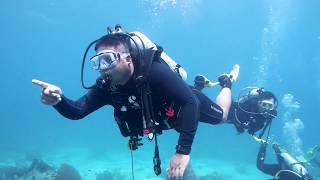 Koh Tang, Cambodia Diving - Recreational Diving - Reef Diving - PADI Diving
