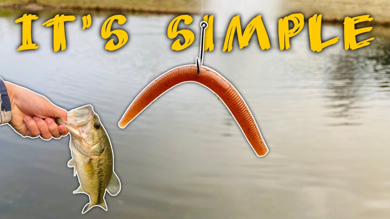 This Simple Lure will Save you this year!