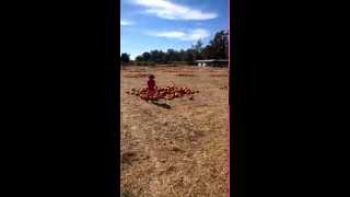 WP 20141011 014