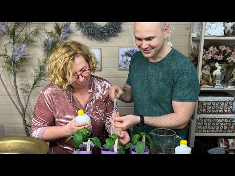 Summer Seasons with Marina Rykalina, March 20, 2025