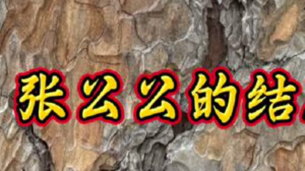 白话江湖故事~张公公的结局#故事 #故事与酒 #评书故事 #人物故事 #故事汇 - YouTube