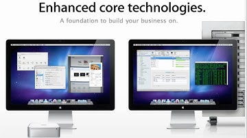 Snow Leopard Sever Breakdown