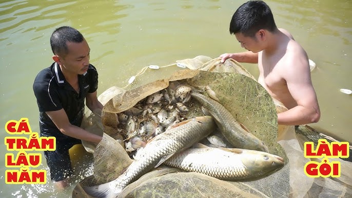 4. Lợi Ích Sức Khỏe Của Gỏi Cá Mai Trâm