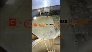 Guangxin YZYX90 Rapeseeds Mustard Seeds Oil Press Machine | Small Cooking Oil Mill | 3TPD 125KG/Hour