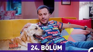 Acil Aşk Aranıyor 24 Bölüm Hd