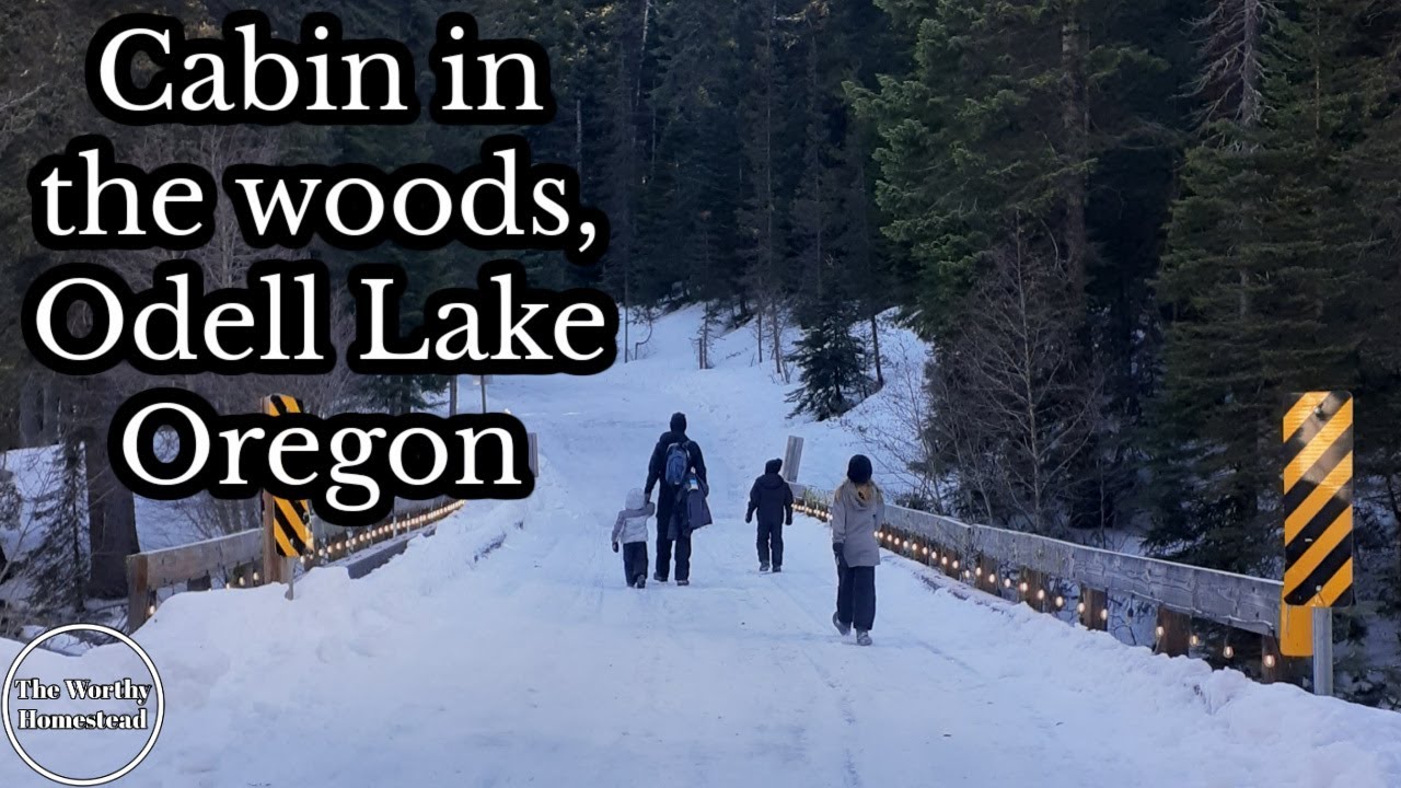 Cabin in the woods, Odell Lake, Oregon YouTube