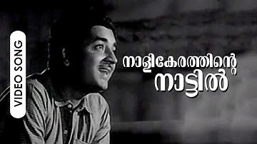 Nalikerathinte... | Evergreen Malayalam Movie Song | Thurakkaatha Vaathil | Ft.Prem Nazir, Madhu