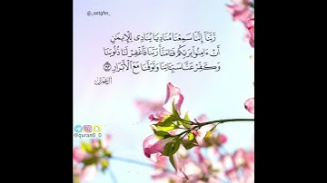 القارئ بندر النعمان/سورة آل عمران/🌹🌹