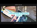 Paint Color Trends 2024/SW color of the year