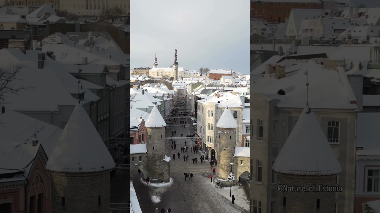 Old Town Tallinn, Viru V&auml;ravad
