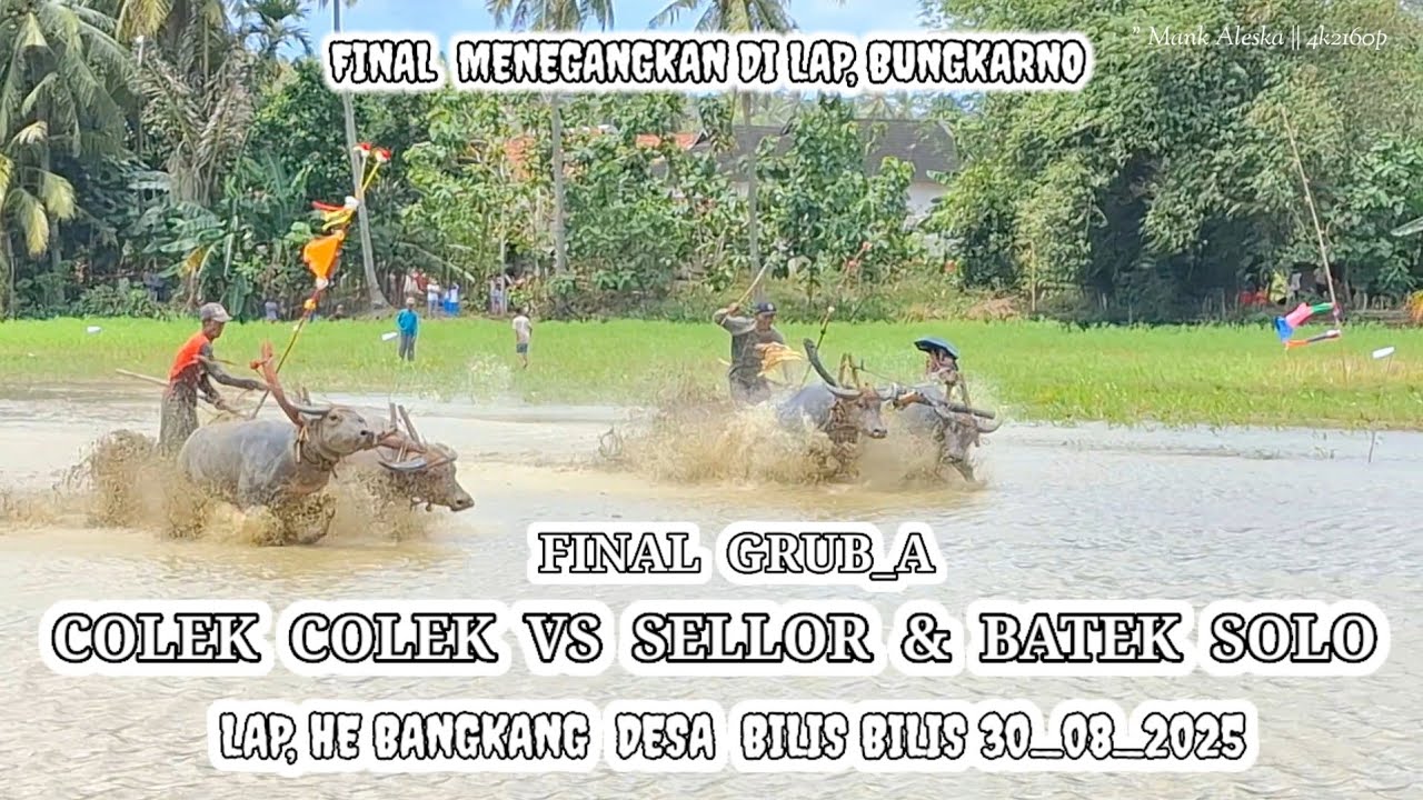 COLEK COLEK  &  SELLOR &  BATEK SOLO || FINAL GRUB_A || LAP, HE BANGKANG BILIS BILIS 2025