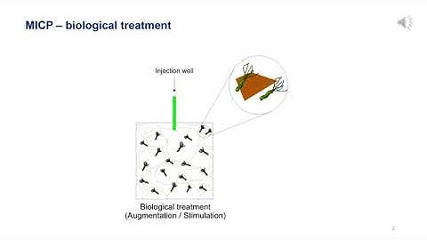 [2-min talk] Reactive transport modeling of MICP in porous media (Oliver Ramos, 2021)