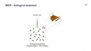 [2-min talk] Reactive transport modeling of MICP in porous media (Oliver Ramos, 2021)