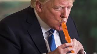 Donald Trump Plays The Flute Very Well