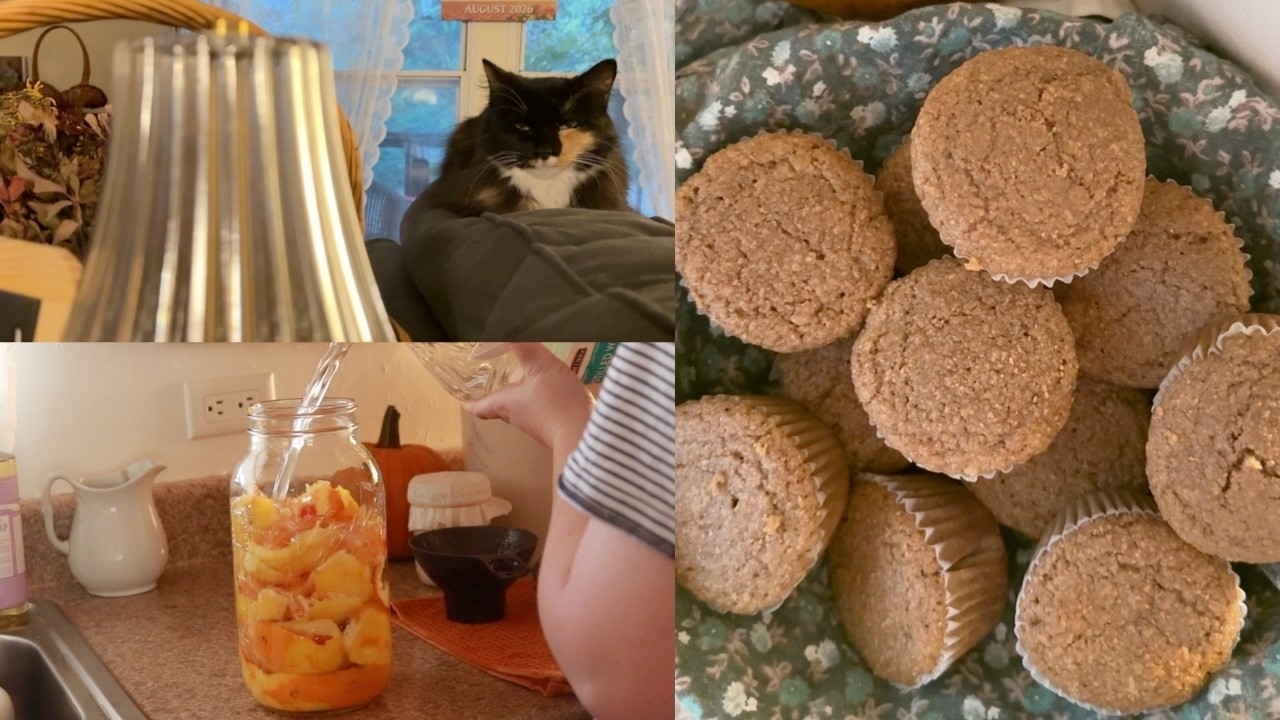 Homemade Orange Marmalade, Fresh Milled Biscuit Pot Pie, Spatchcock Chicken with Beans and Bread