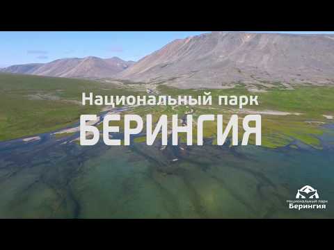 Video: Narodni park Gir: Popoln vodnik
