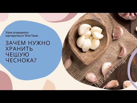 708. Чешуи чеснока. Собирать всем. И смотреть зачем.