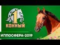 Иппосфера-2019