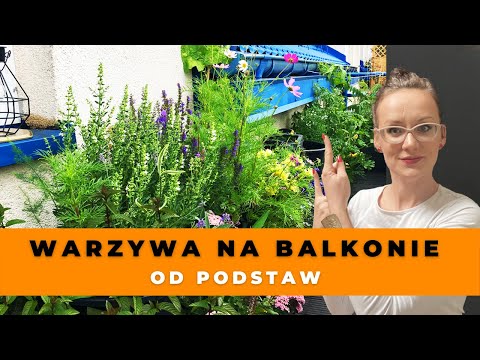 Wideo: Jak Przechowywać Warzywa Na Balkonie?