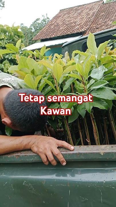 Tetap semangat @teman @tni @tniprima #tniadmembangunbersamarakyat